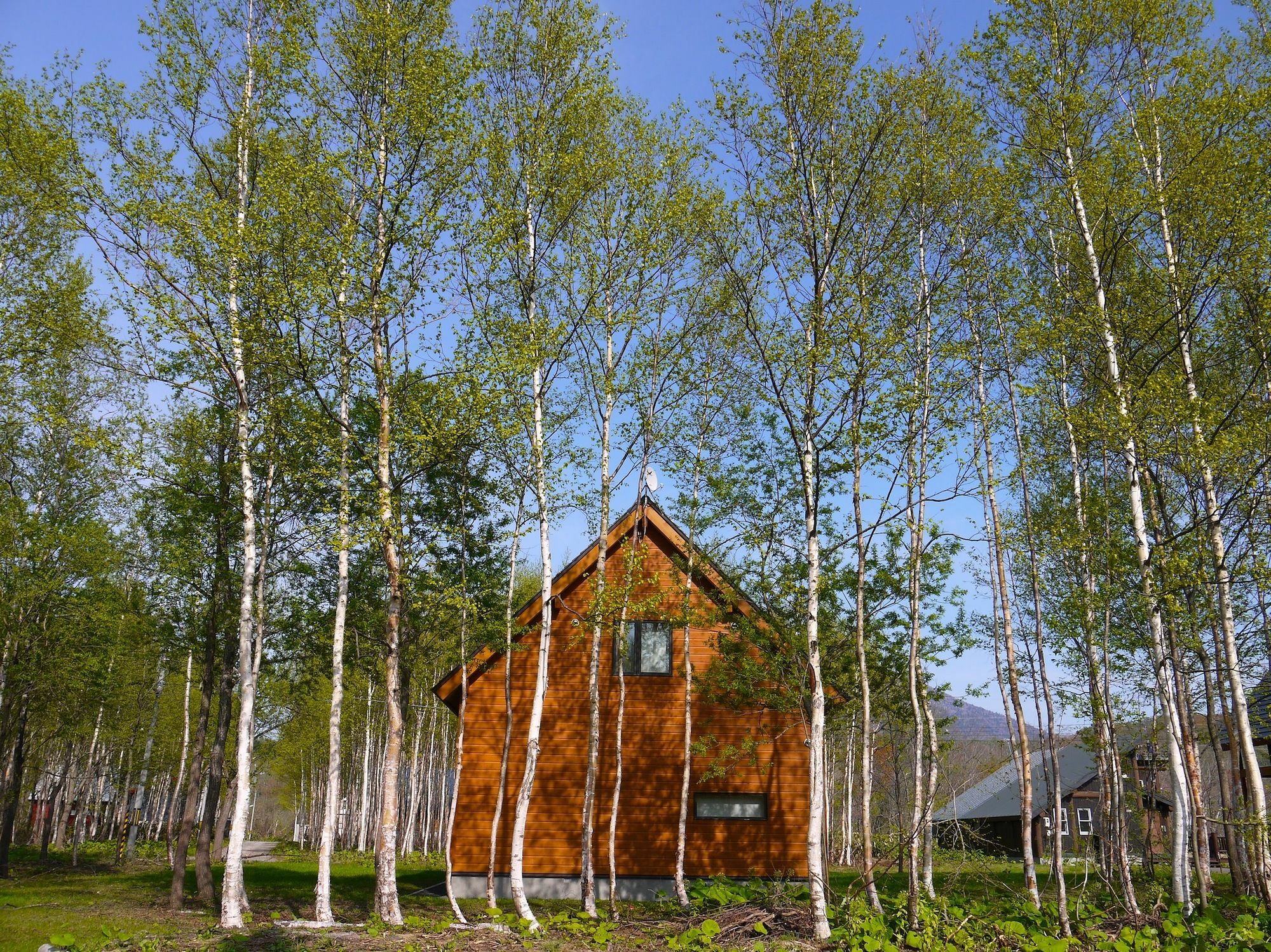 Country Resort Niseko Kutchan Eksteriør billede